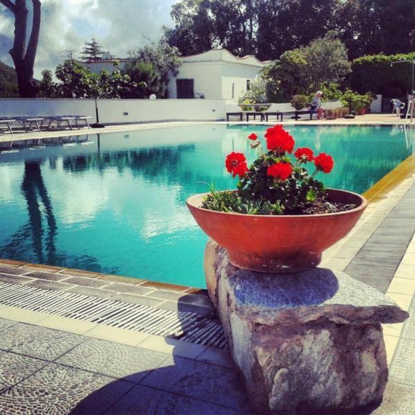 Hotel Al Bosco Forio  ภายนอก รูปภาพ